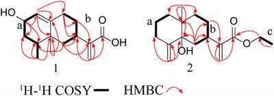 Acetylcholinesterase inhibitory activity of sesquiterpenoids isolated from Laggera pterodonta